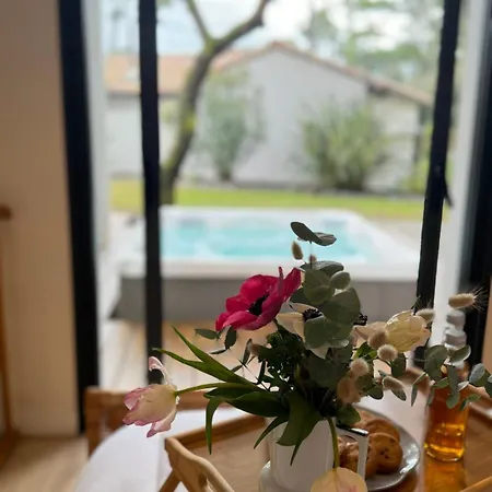 Villa La Pinede Avec A 5 Minutes De La