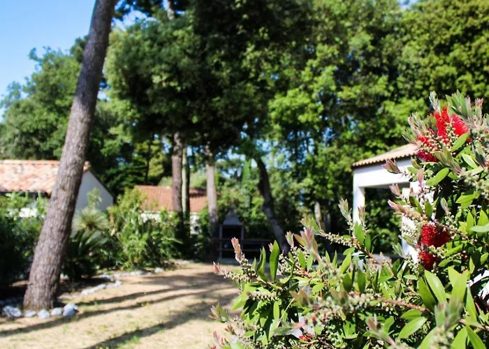 Villa La Pinède Avec à 5 Minutes De La Brétignolles-sur-Mer